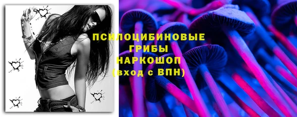тгк Алексин